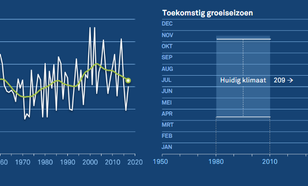 Figuur 2. Volgens de meest extreme scenario’s wordt het groeiseizoen rond 2050 met zo’n 40 dagen verlengd.