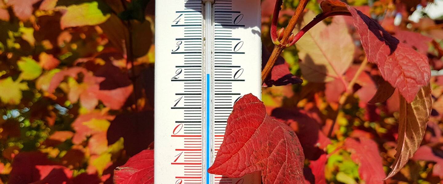 Thermometer in een haag met herfstkleuren